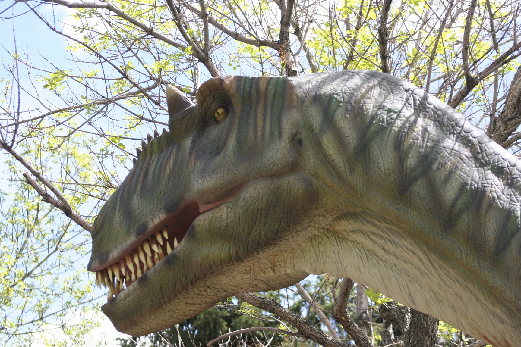 a tyransaumus that is standing up in the trees