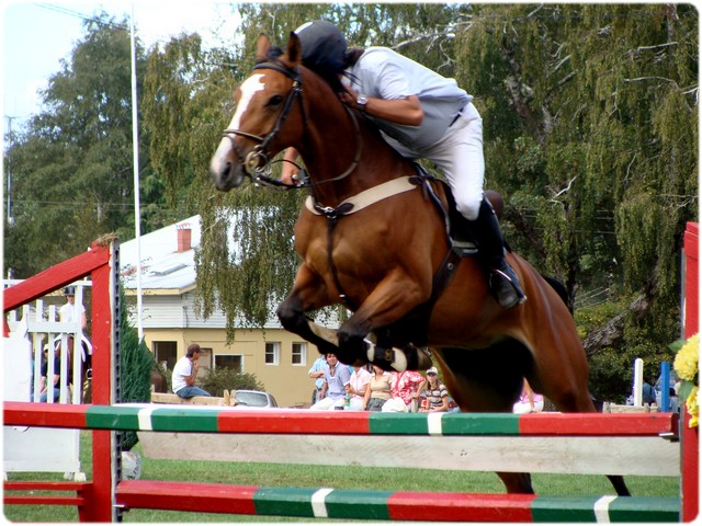 the jockey on a horse is jumping over a red fence