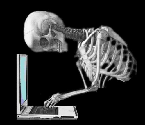 an image of a skeleton on the internet