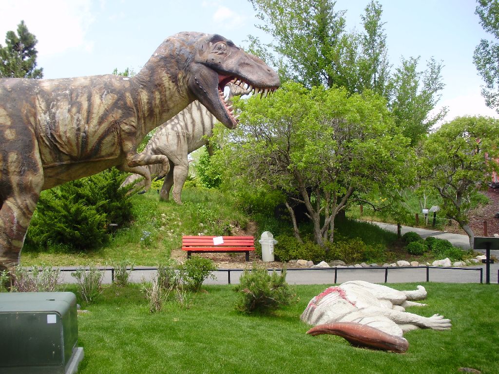 this is a display of some dinosaurs lying down in the grass