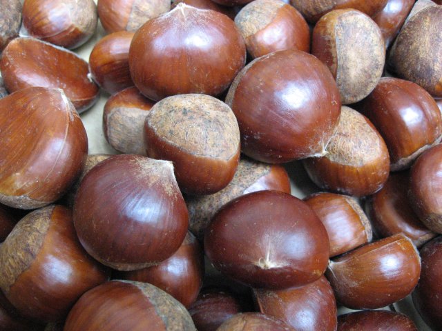 some brown nuts laying on top of each other