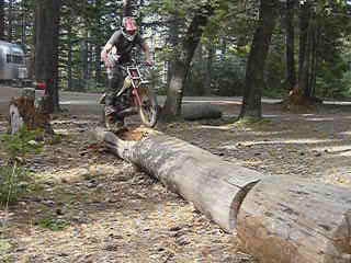 a person on a mountain bike riding across a log
