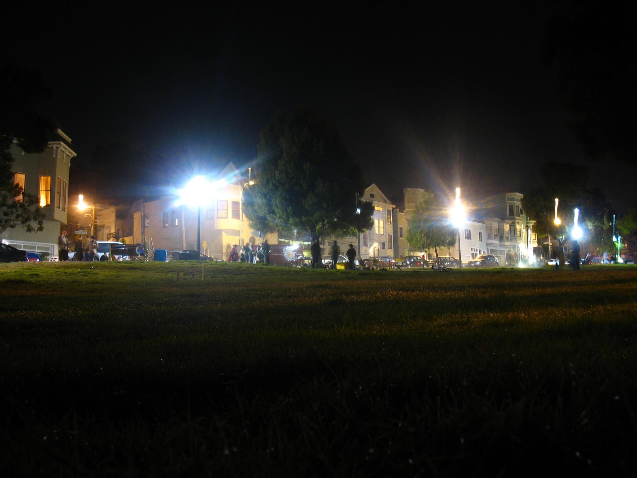 a grassy area with street lights shining on the houses