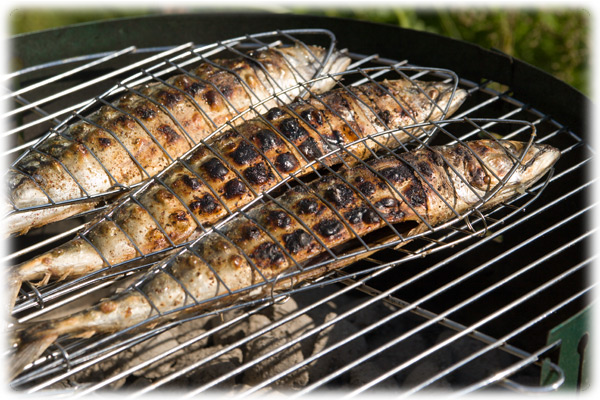grilled fish are on a charcoal grill with a side dish