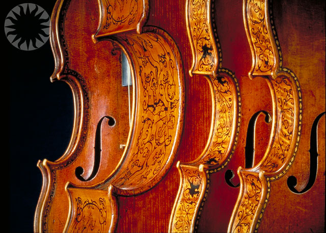 the front of three cellos in a row