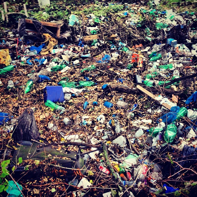 plastic bottle litter in an overgrown clearing near the ocean