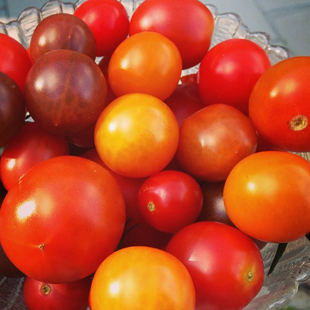 a bowl filled with lots of different kinds of tomatoes