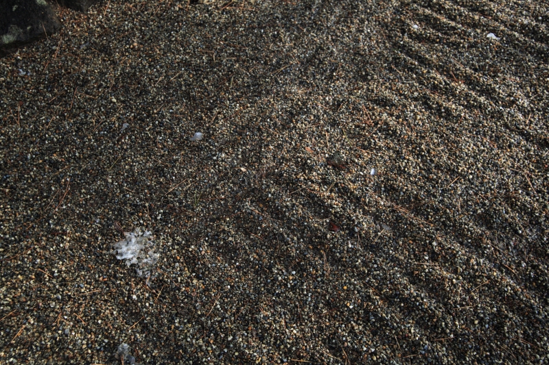 sand has been raked down and the grass is brown