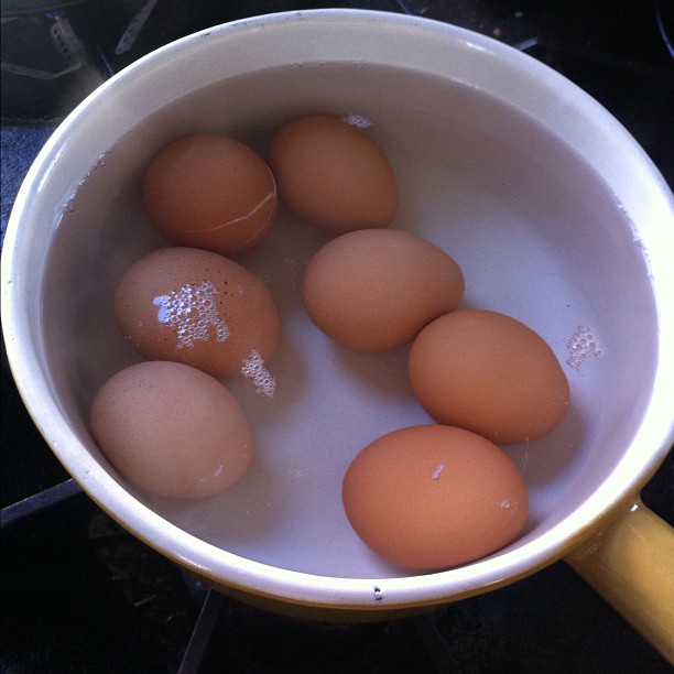 six brown eggs sitting in a white bowl