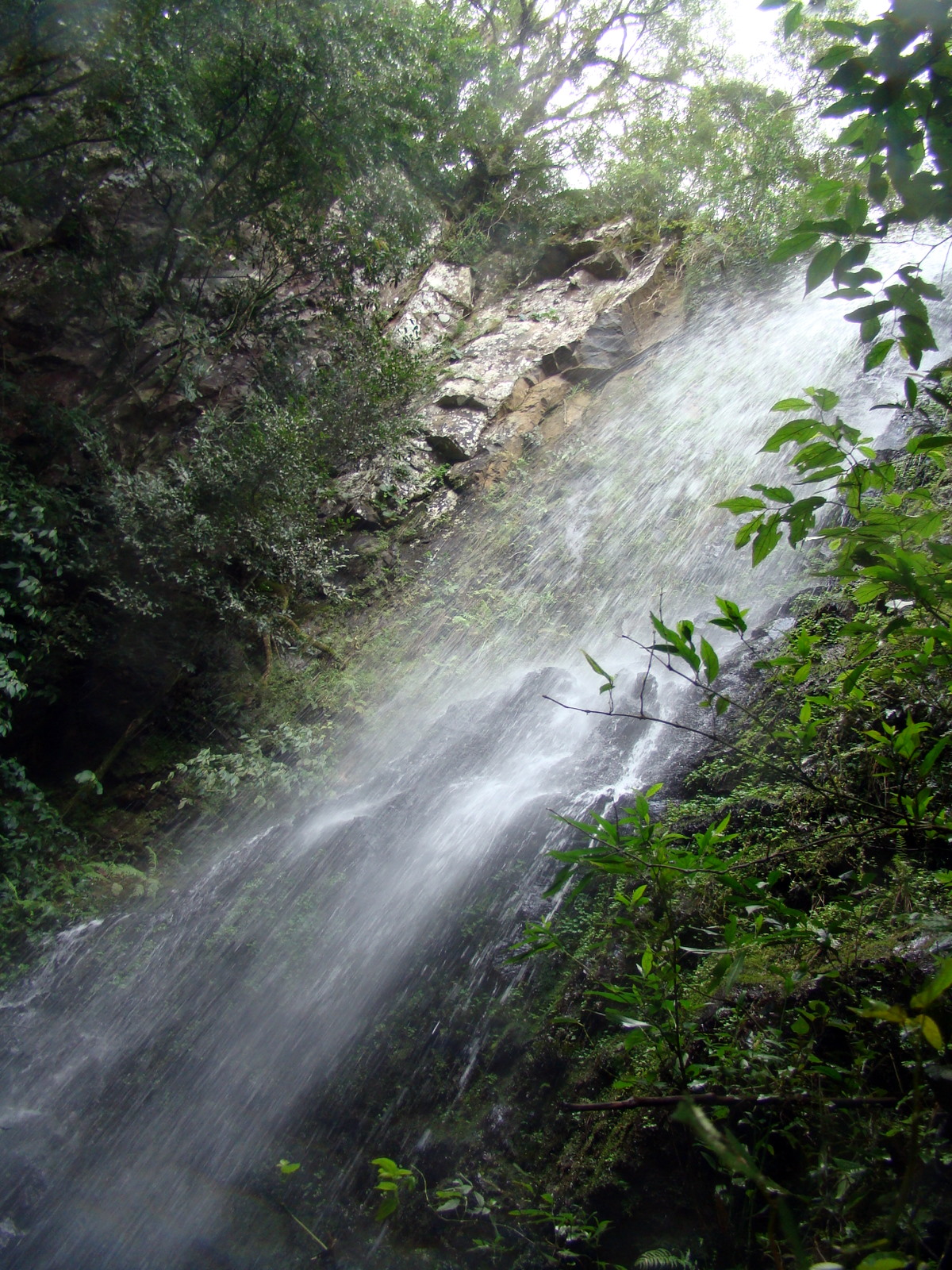 water pours from a large waterfall into a green forest