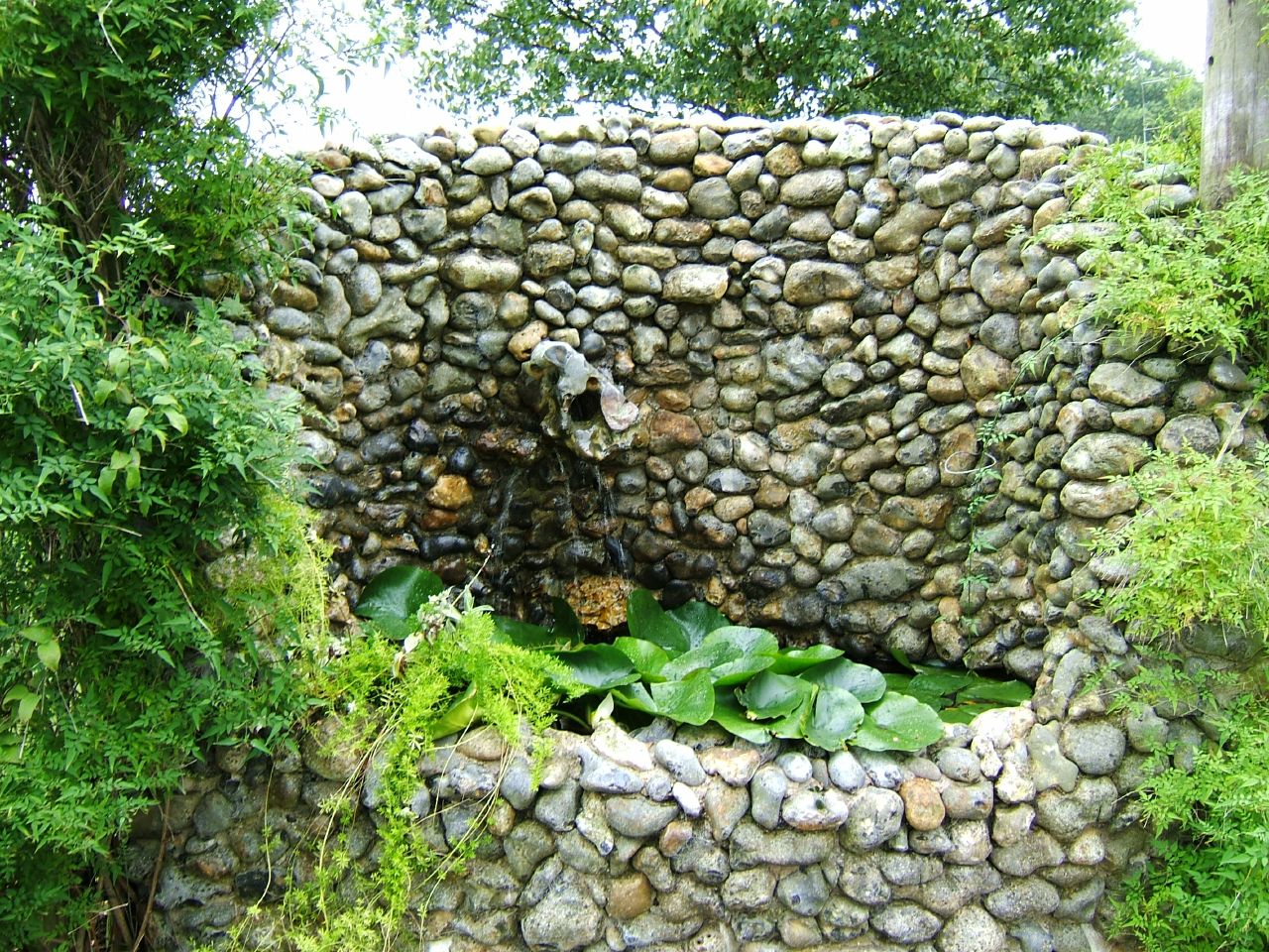 there is a small stone wall in the garden