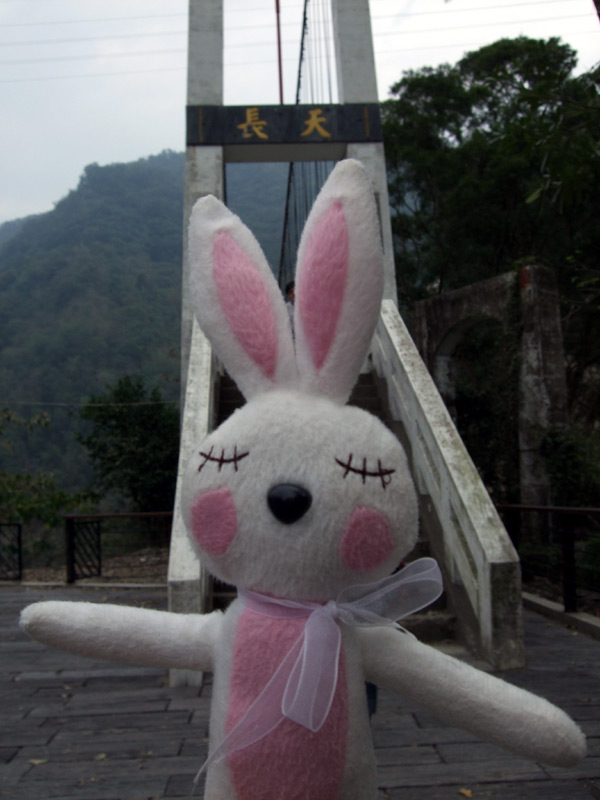 the stuffed animal is dressed in a dress and standing outside