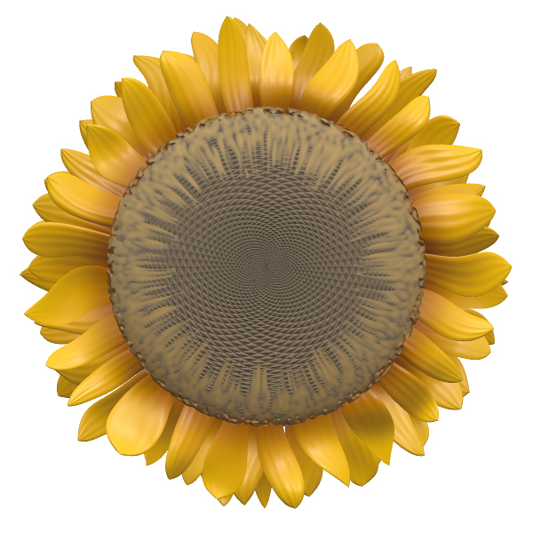 a large yellow sunflower with a single stalk on it