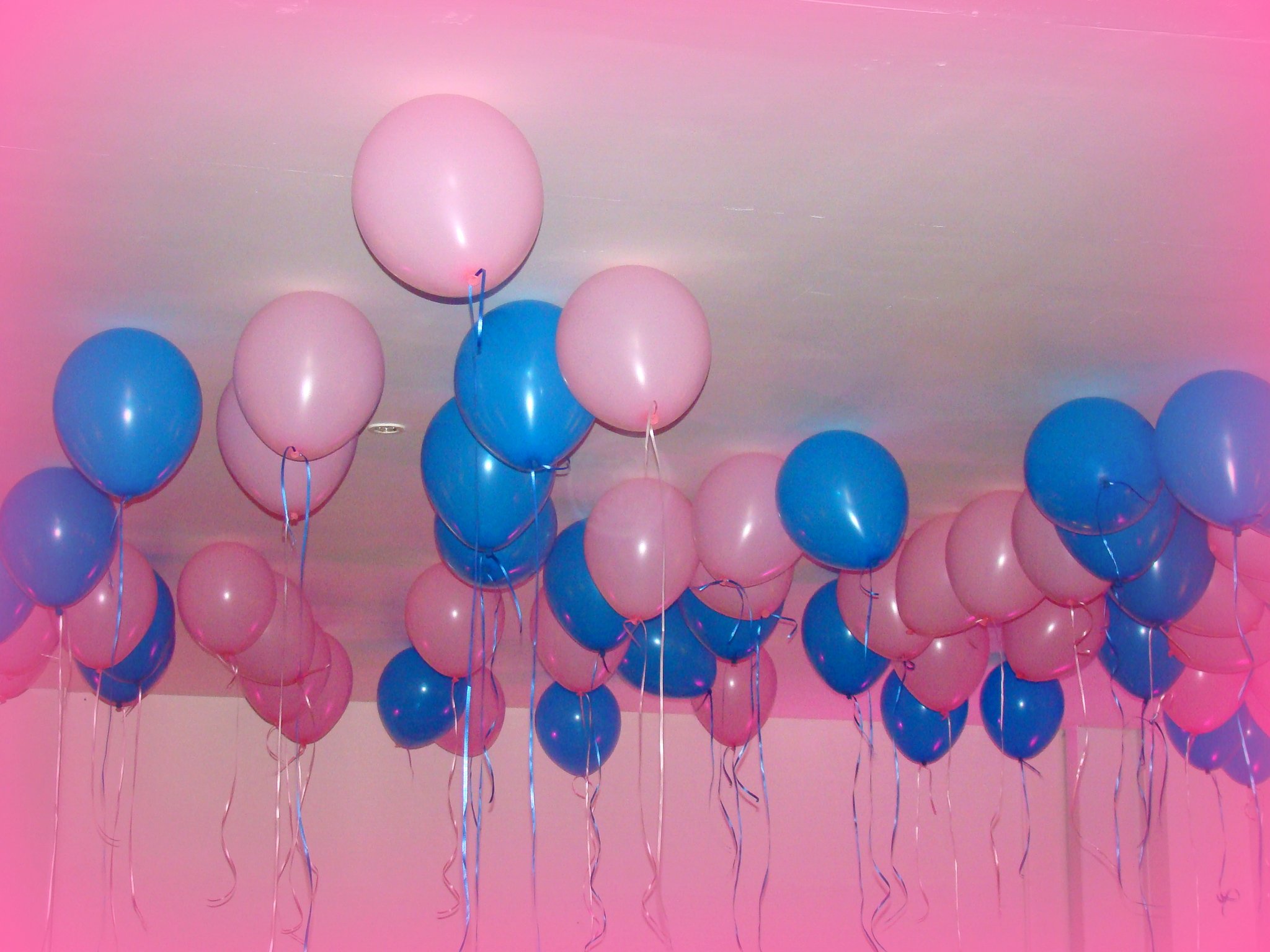 many balloons in rows hanging from the ceiling