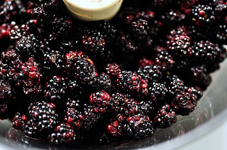 a food processor filled with blackberrys and ready to be processed