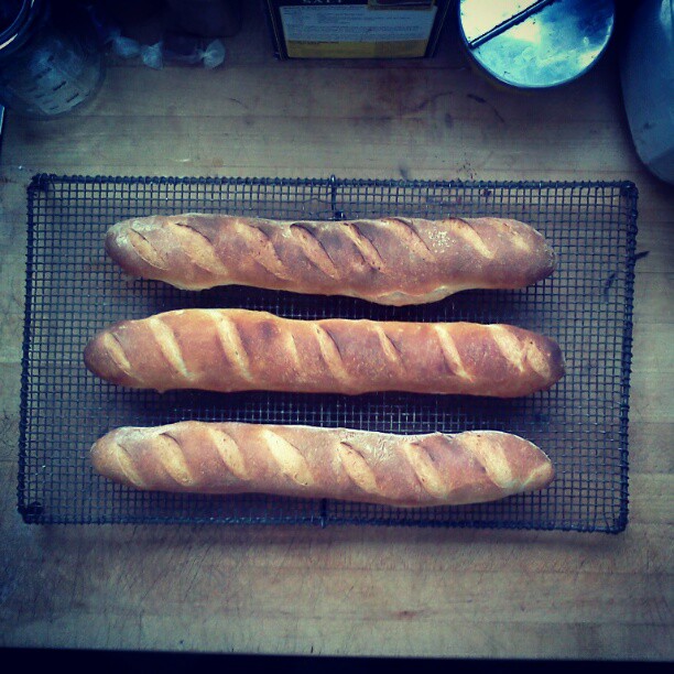 there are two big long bread sticks on the tray