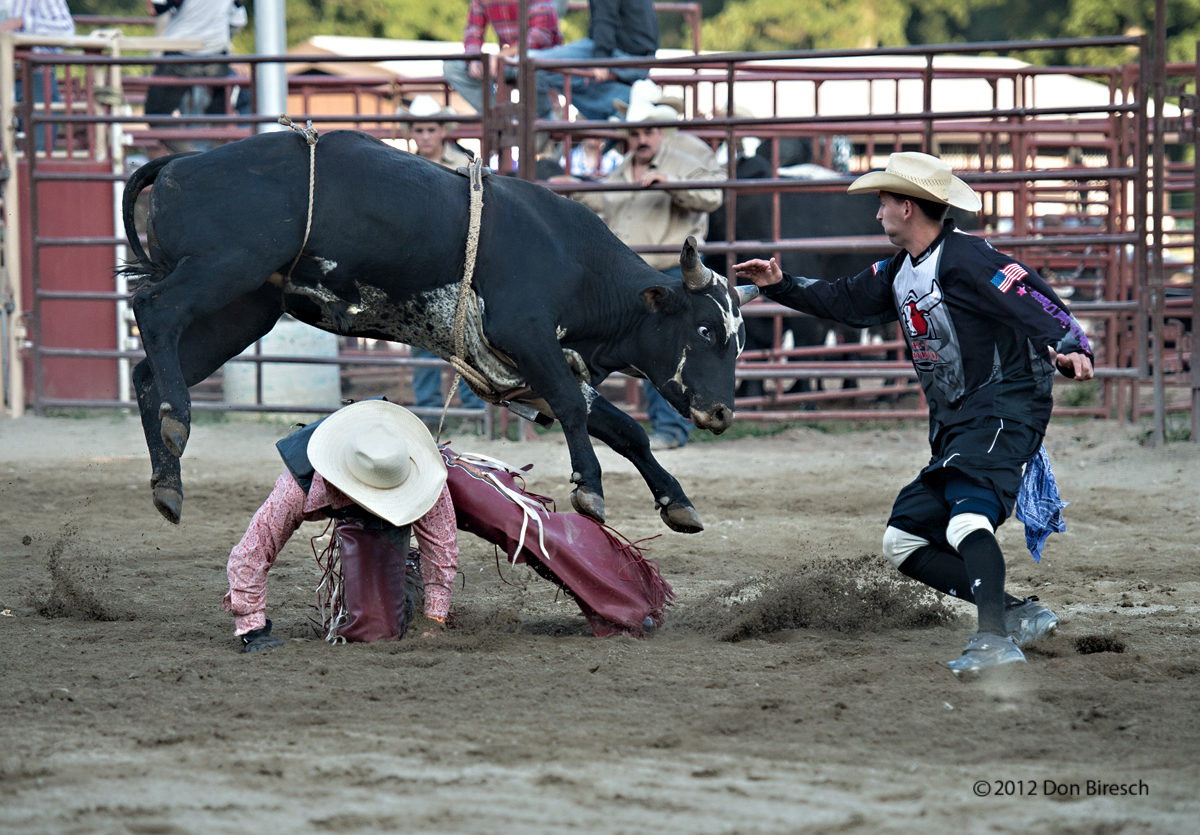 man trying to hit the neck of his cow in a rodeo