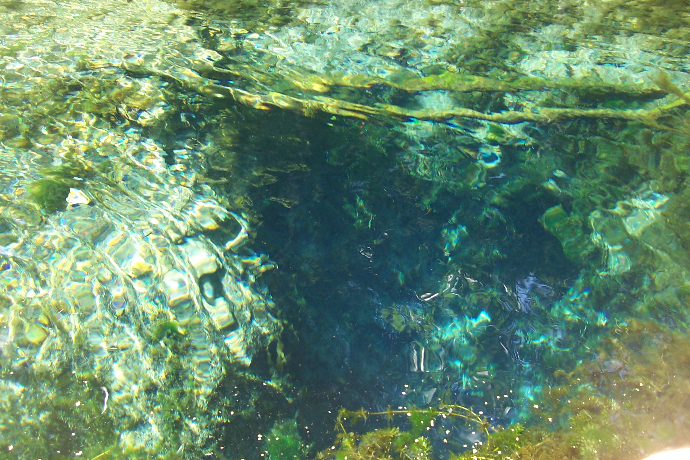 water over rocks is reflecting sunlight and green algae