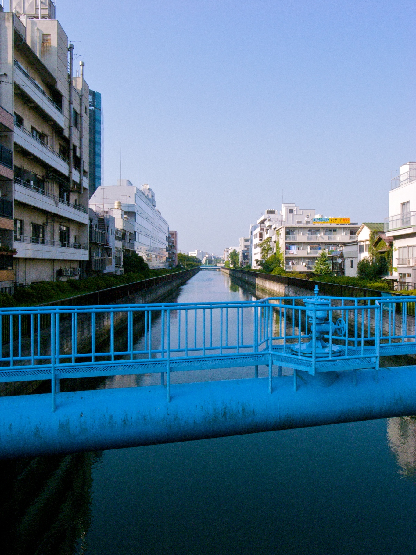 some very blue benches over water and buildings