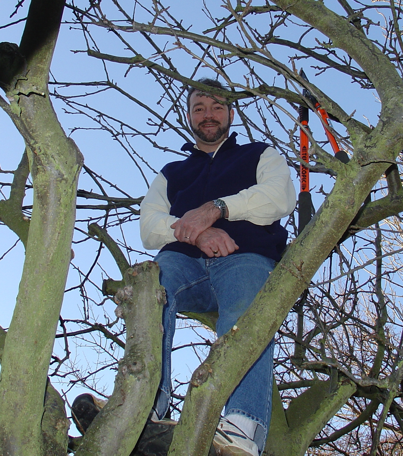 a man is sitting in the top of a tree