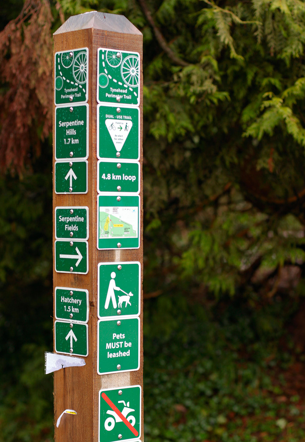 many signs are posted along the edge of the trail