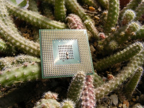 the electronic device on the cactus is embedded in a metal container