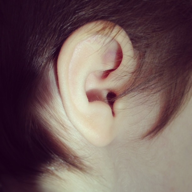 an ear with two different pieces of hair