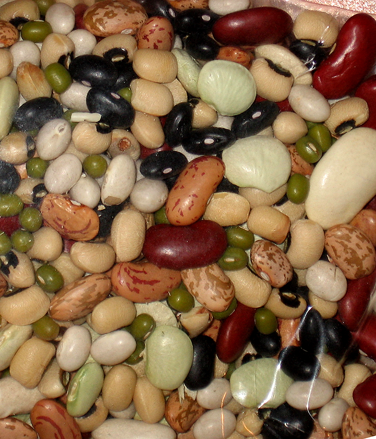 lots of different types and colors of beans