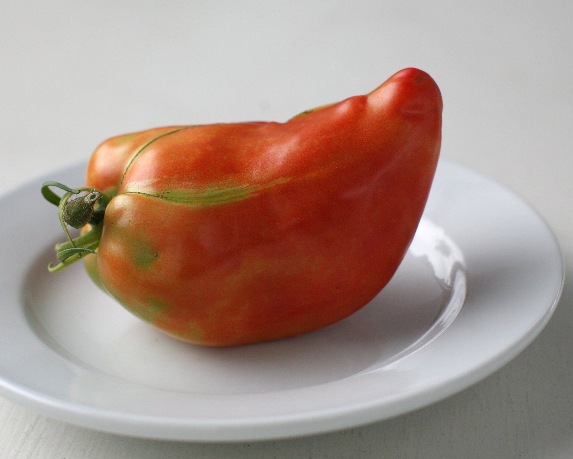 a close up of a plate with a tomato on it