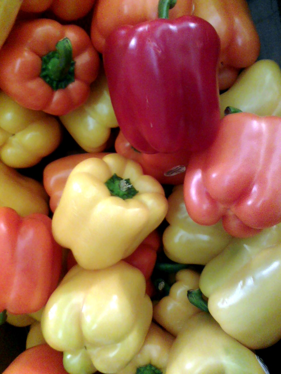 red, yellow and orange peppers are stacked together