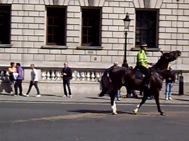 an image of a police officer on horseback at a crosswalk
