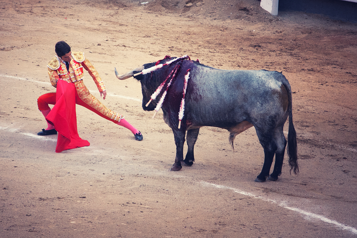 a bull dressed in elaborate clothing stands by a woman's leg