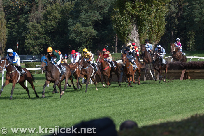 a large group of people on horses going through the race track