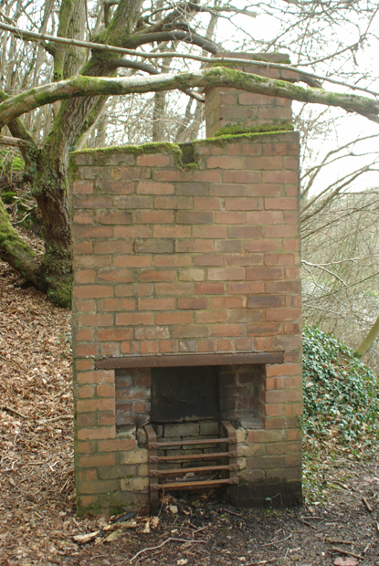 brick oven built in the forest for cooking