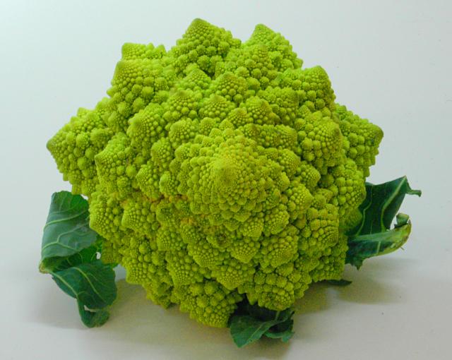 a green head of broccoli sitting on a white surface