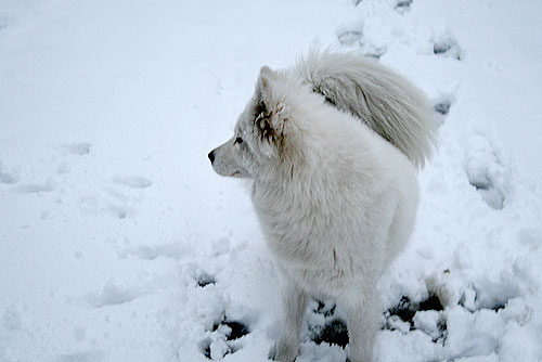 a close up of a person walking in the snow