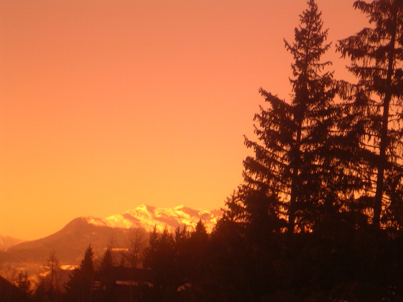 the sunset with trees in foreground and mountains in distance