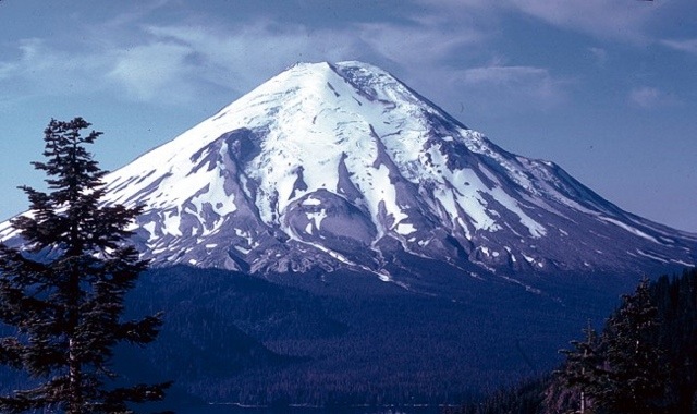 a large snow covered mountain towering above the forest