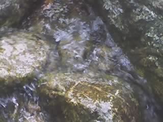 a rock filled with water and rocks covered in green moss