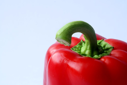 a close up of a pepper on a white background