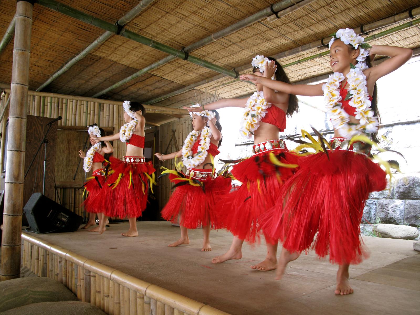 children wearing grass skirts and hula skirts dancing at the park