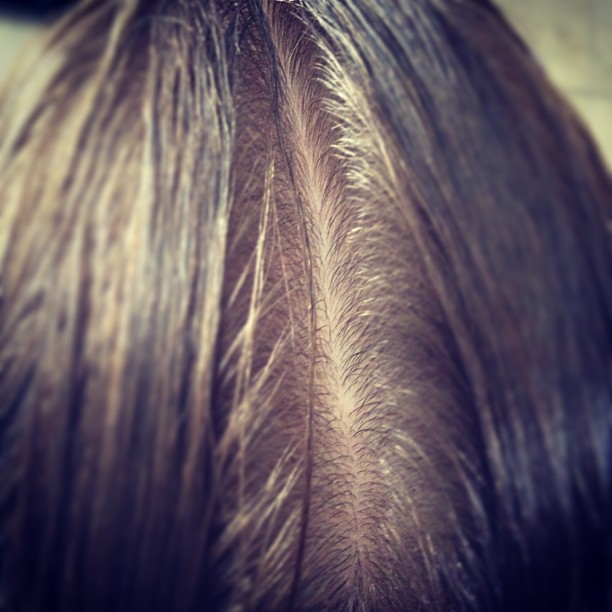 an up close s of the side of a womens head with highlights from her hair