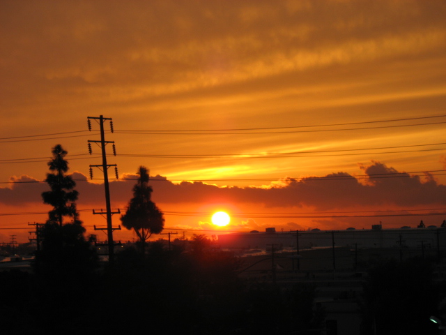 the sun is setting behind telephone poles and trees