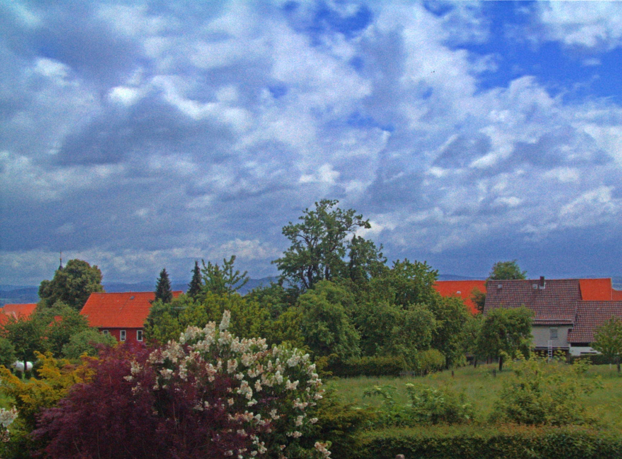 a red house in a green field and trees