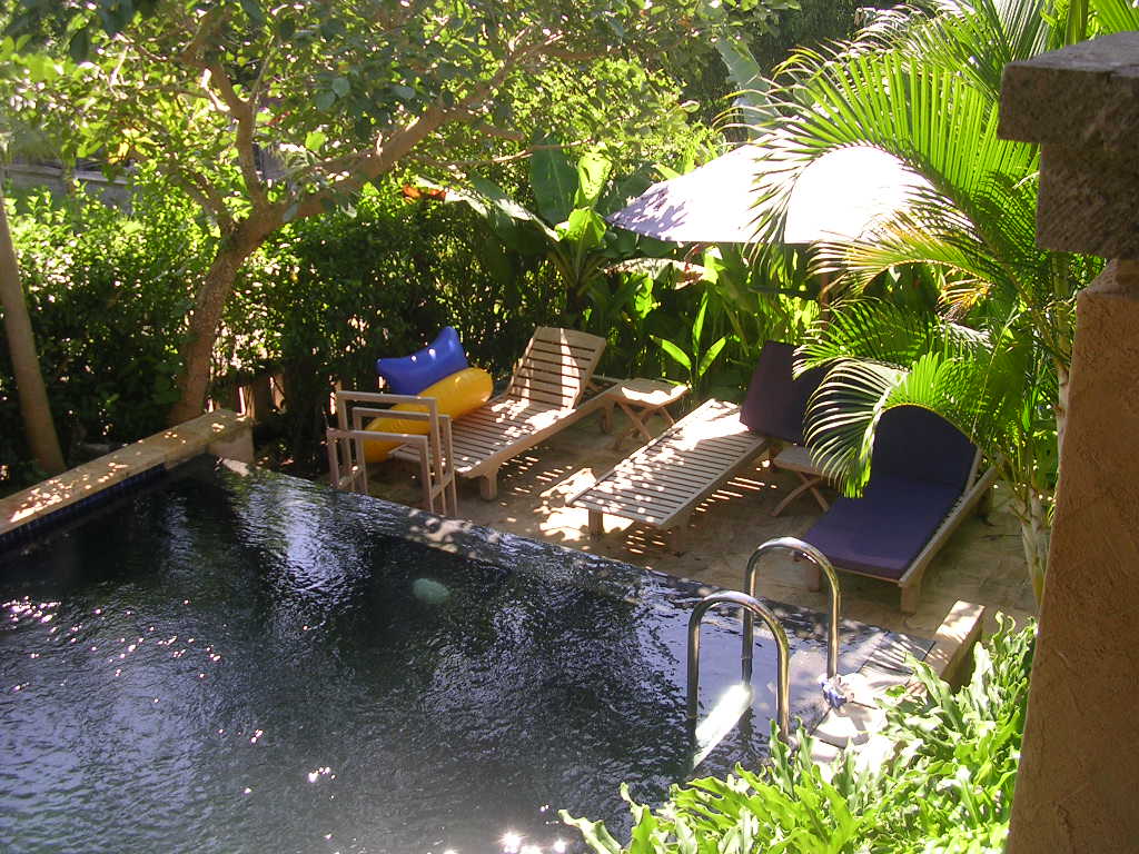 an empty swimming pool is surrounded by lush vegetation