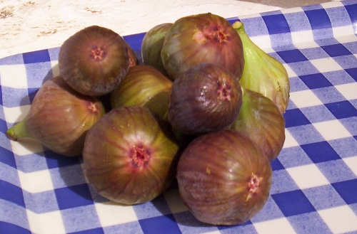 five figs on a table in front of a checkered cloth