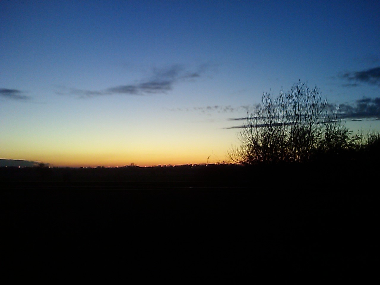 the sky is dark and a lone tree is visible