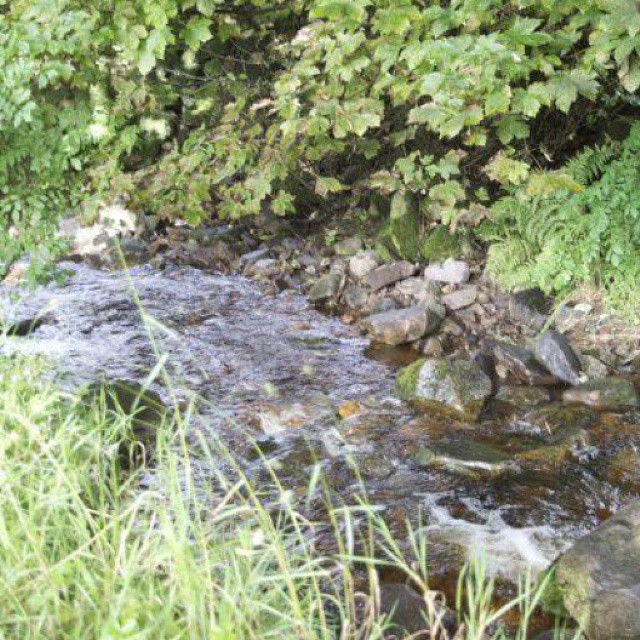 a creek runs through some grass, trees and rocks