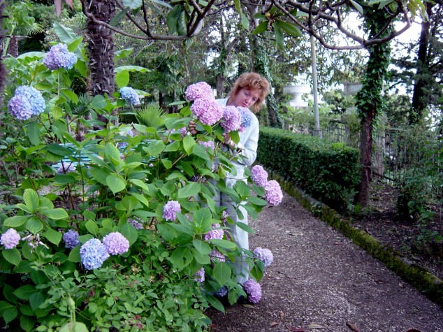 woman standing in a garden with a bush full of flowers