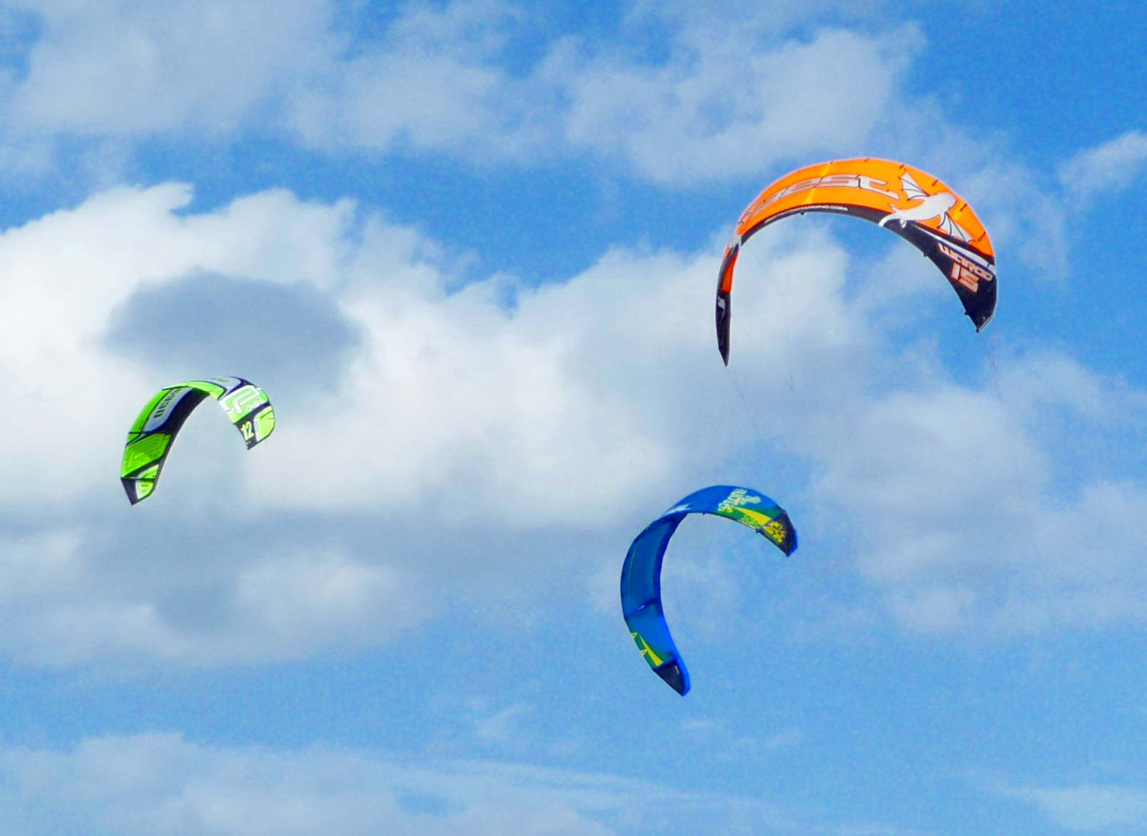 a number of parasailers flying in the sky